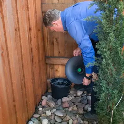 checking mosquito trap